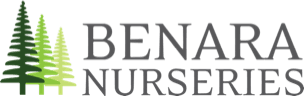 Benara Nurseries